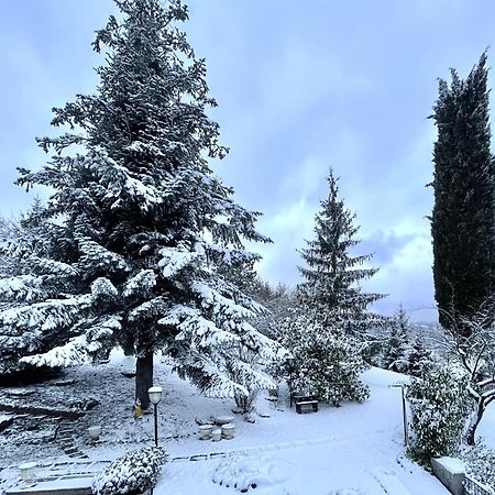 Mazzetti Country House-Vita In Campagna Con Giardino Vimignano-Chiesa Buitenkant foto