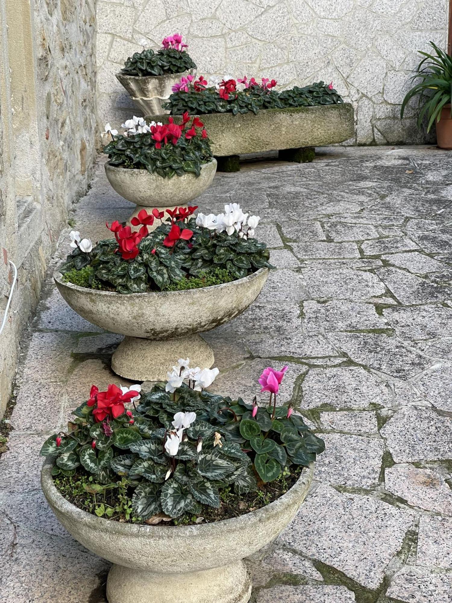Mazzetti Country House-Vita In Campagna Con Giardino Vimignano-Chiesa Buitenkant foto