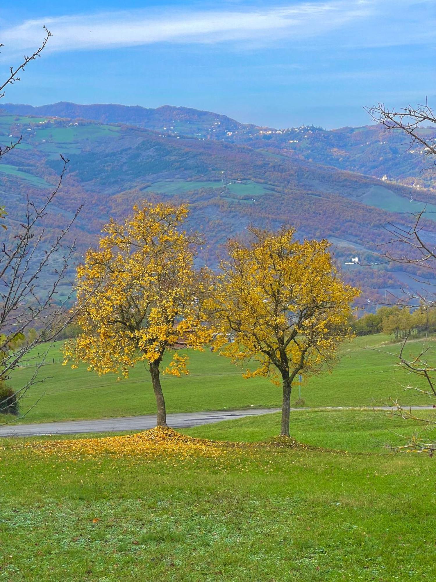 Mazzetti Country House-Vita In Campagna Con Giardino Vimignano-Chiesa Buitenkant foto