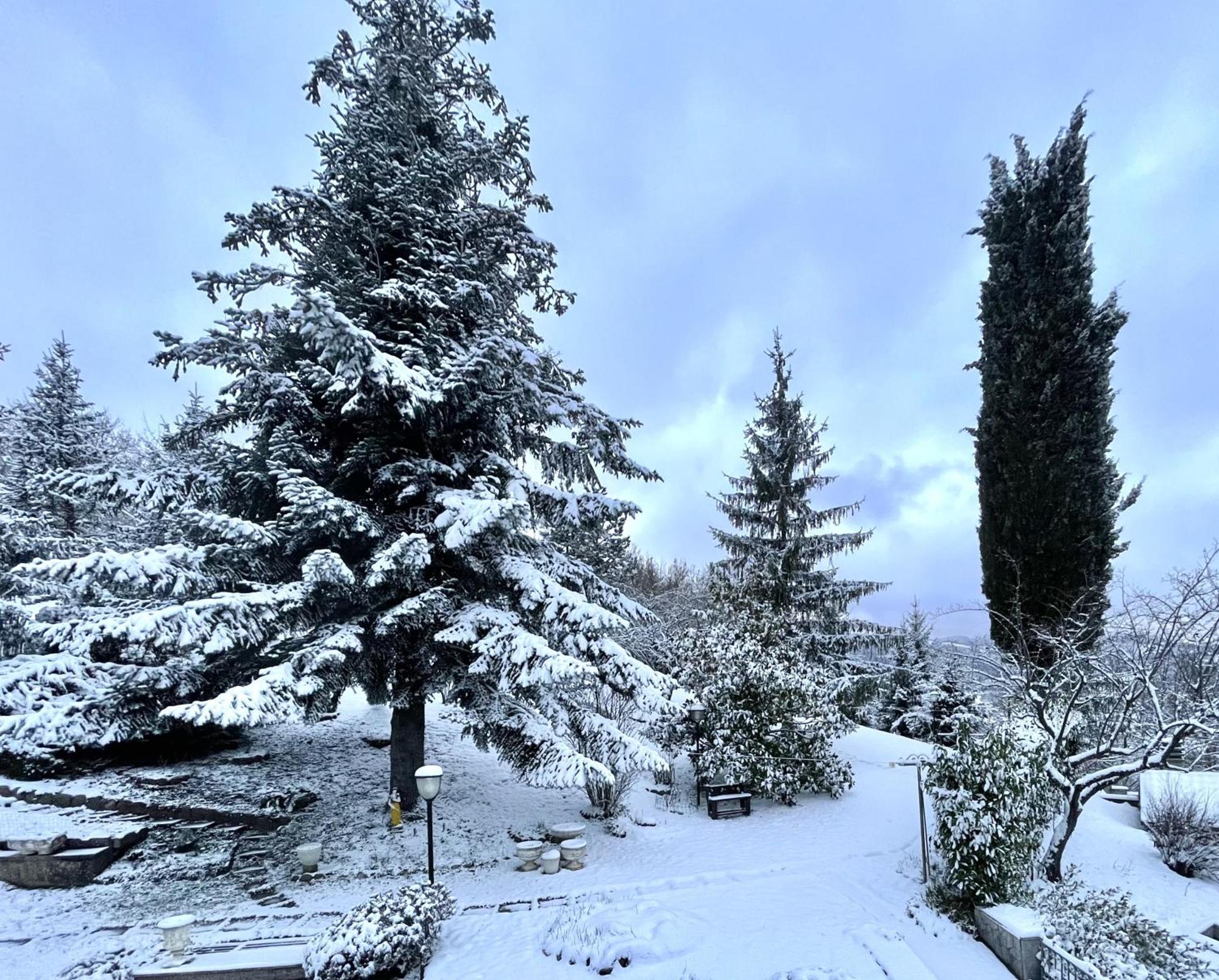 Mazzetti Country House-Vita In Campagna Con Giardino Vimignano-Chiesa Buitenkant foto