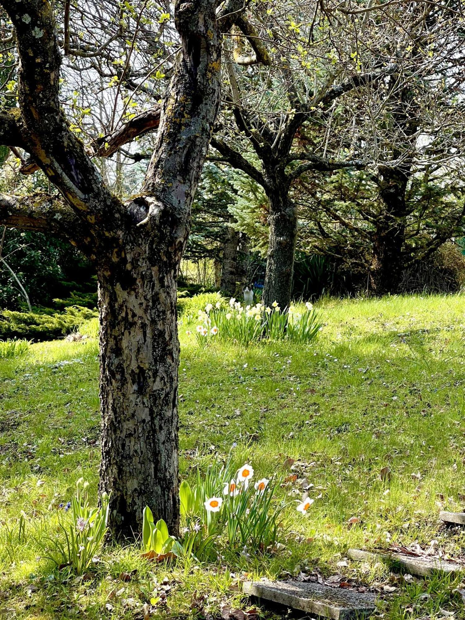 Mazzetti Country House-Vita In Campagna Con Giardino Vimignano-Chiesa Buitenkant foto