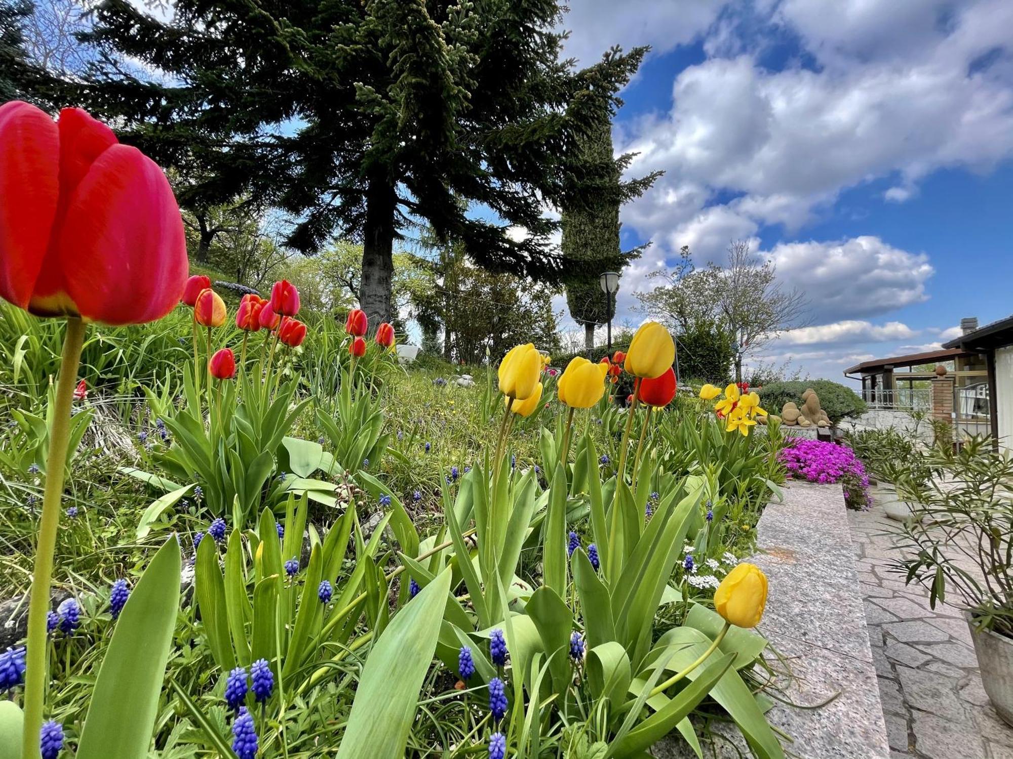 Mazzetti Country House-Vita In Campagna Con Giardino Vimignano-Chiesa Buitenkant foto