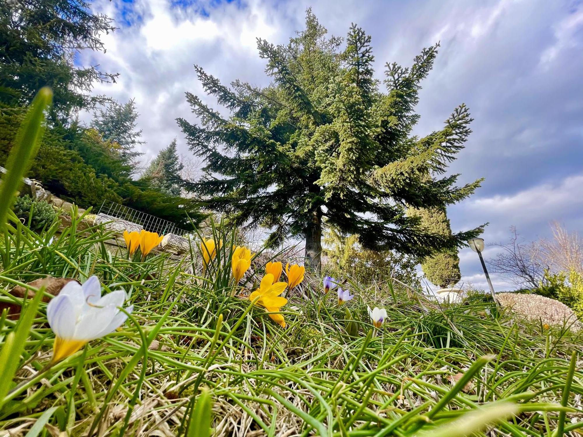 Mazzetti Country House-Vita In Campagna Con Giardino Vimignano-Chiesa Buitenkant foto