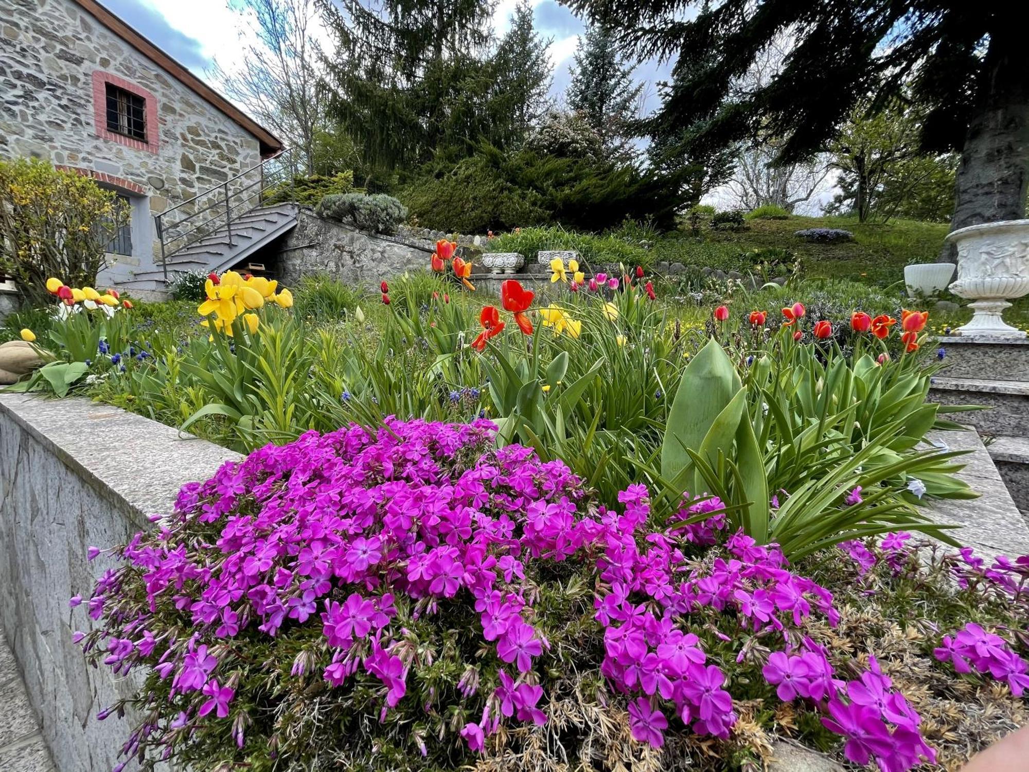 Mazzetti Country House-Vita In Campagna Con Giardino Vimignano-Chiesa Buitenkant foto