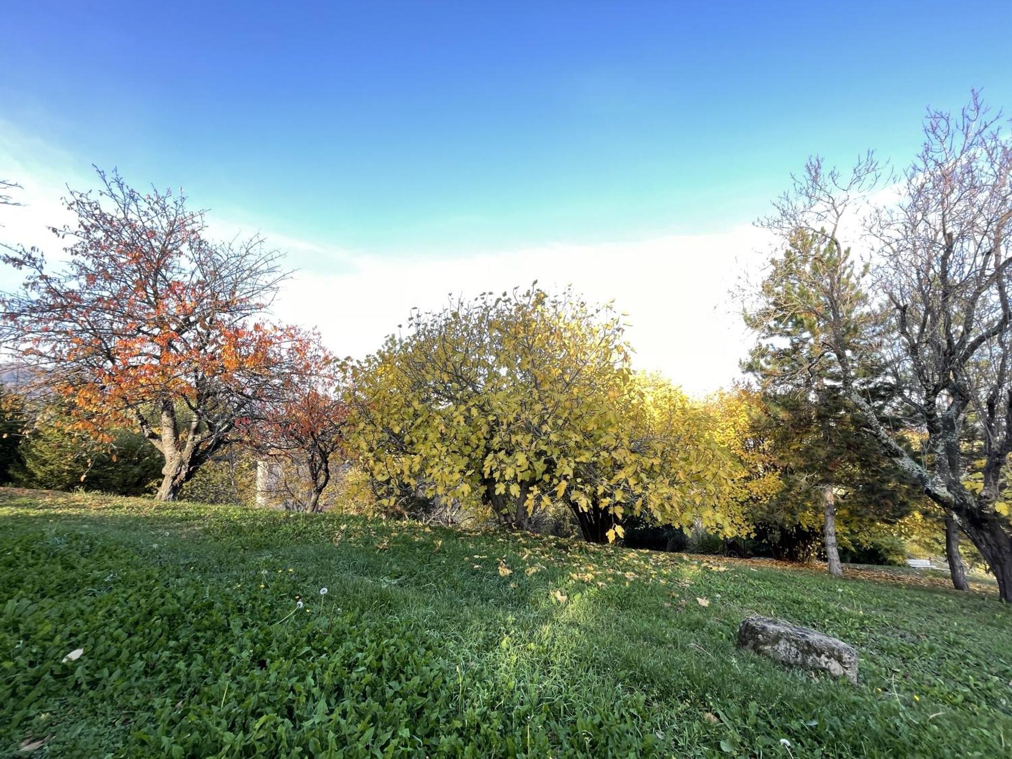 Mazzetti Country House-Vita In Campagna Con Giardino Vimignano-Chiesa Buitenkant foto