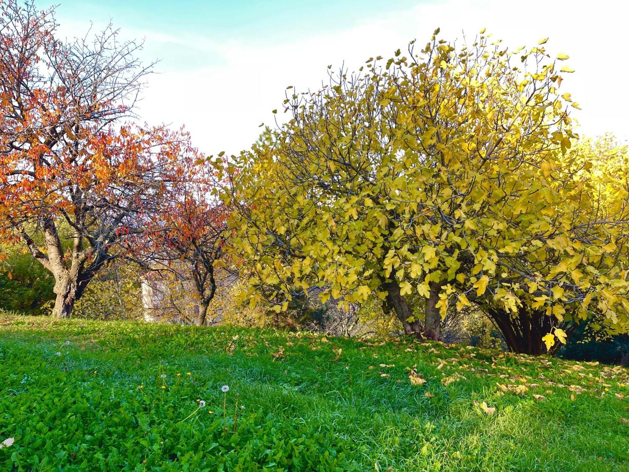 Mazzetti Country House-Vita In Campagna Con Giardino Vimignano-Chiesa Buitenkant foto