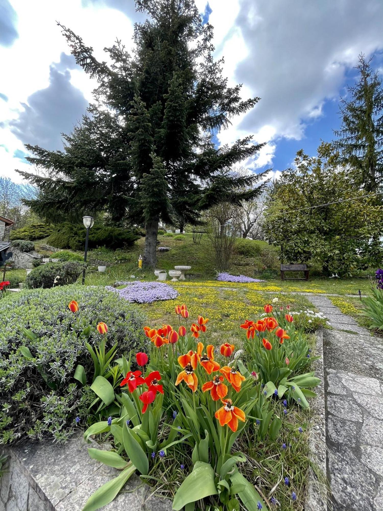 Mazzetti Country House-Vita In Campagna Con Giardino Vimignano-Chiesa Buitenkant foto